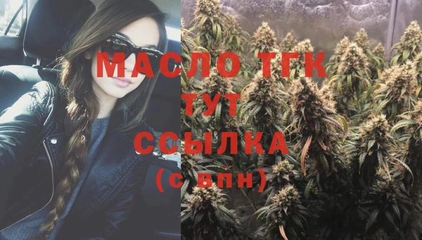 амф Гусь-Хрустальный