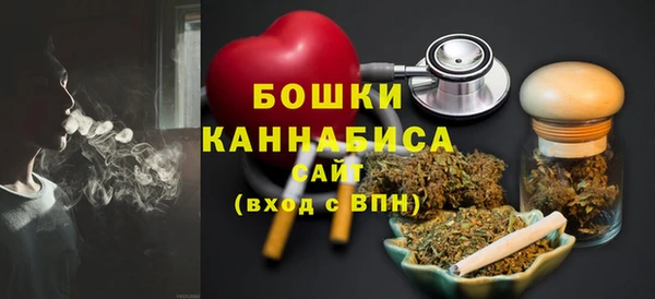 дурь Гусев