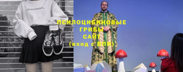 дурь Гусев
