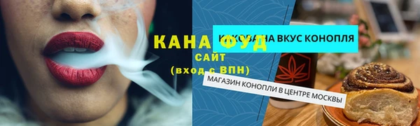 амф Гусь-Хрустальный
