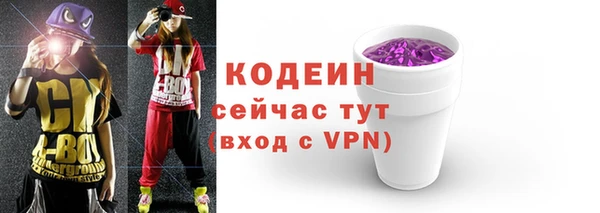 дурь Гусев