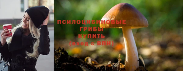 амф Гусь-Хрустальный