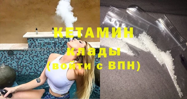 амф Гусь-Хрустальный