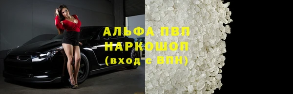 амф Гусиноозёрск