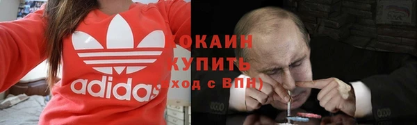 амф Гусь-Хрустальный