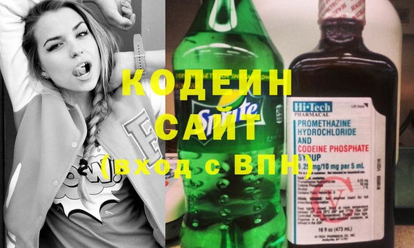 амф Гусиноозёрск