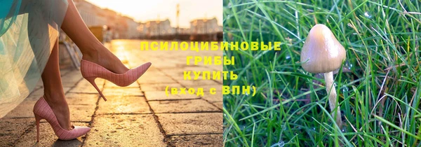 амф Гусиноозёрск