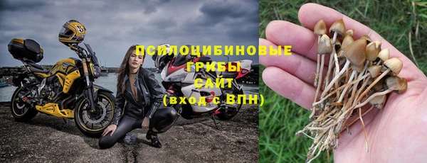 амф Гусиноозёрск