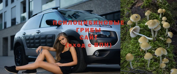 дурь Гусев
