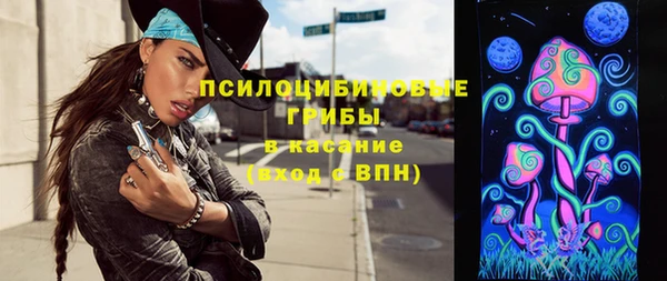 дурь Гусев