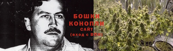 амф Гусиноозёрск
