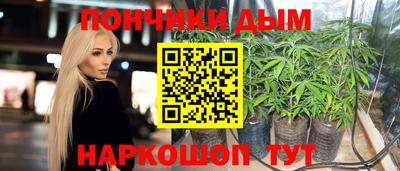 стаф Пенза
